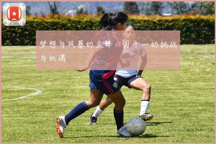 梦想与风暴的交锋六月十一的挑战与机遇