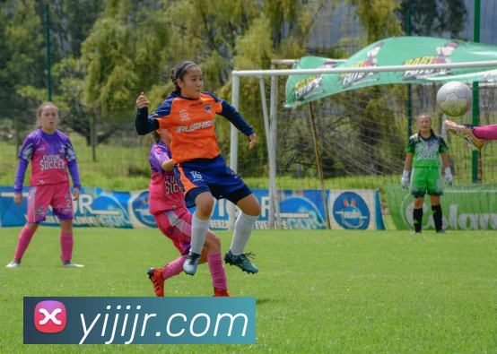 TVT体育平台生态图